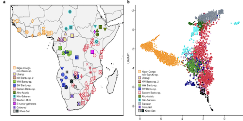  Figure 1 from Fortes-Lima et al. 2023 showing sampling locations and 3 dimensinality reduction methods applied to the genetic variation of the data in the study. 