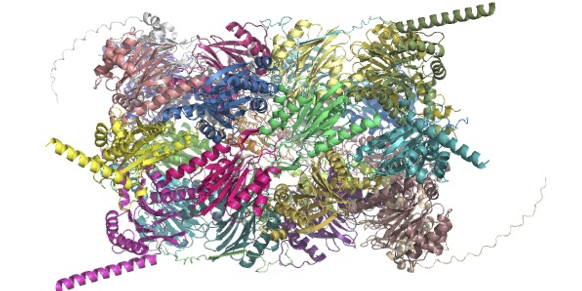  Novel FoldDock pipeline uses AlphaFold2 to provide accurate predictions of heterodimeric complexes structures 