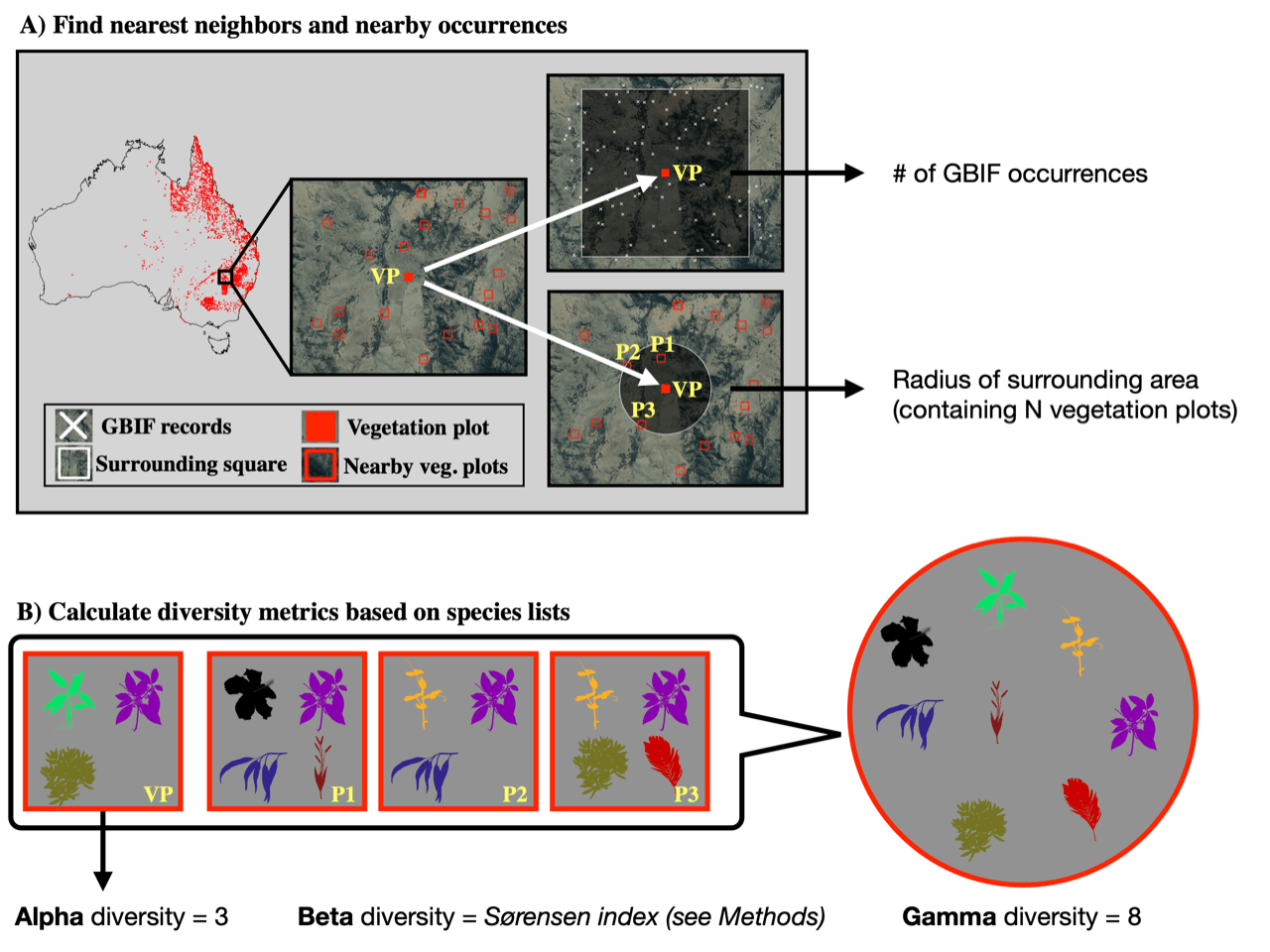 A deep learning framework to estimate species diversity