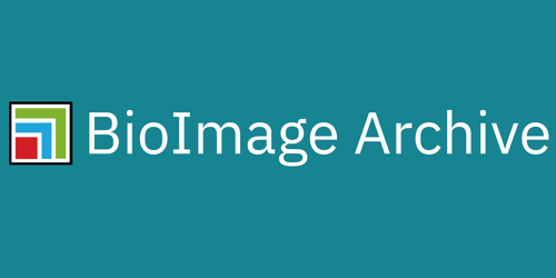 BioImage archive