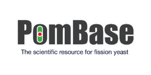 PomBase